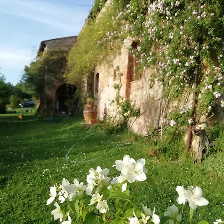 Casa Angelina A Spade Corte Prázdninový dům Certaldo