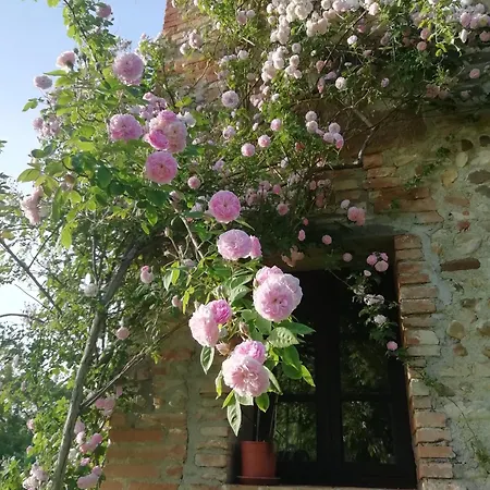 Prázdninový dům Casa Angelina A Spade Corte Certaldo