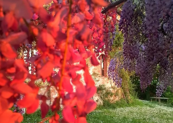 Casa Angelina A Spade Corte Holiday home