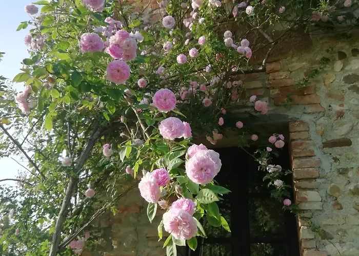 Holiday home Casa Angelina A Spade Corte Luia